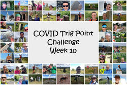 Week 10