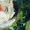 Thumbnail: 'White Peonies' on Canvas