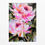 Thumbnail: 'Punk Petals III' on Canvas