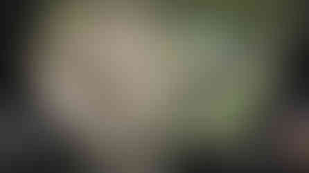 Map showing the 2023 and 2024 solar eclipse path of totality over America creating an X 