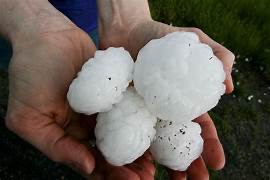 Two hands holding four very large pieces of hail - golf ball to softball sized.