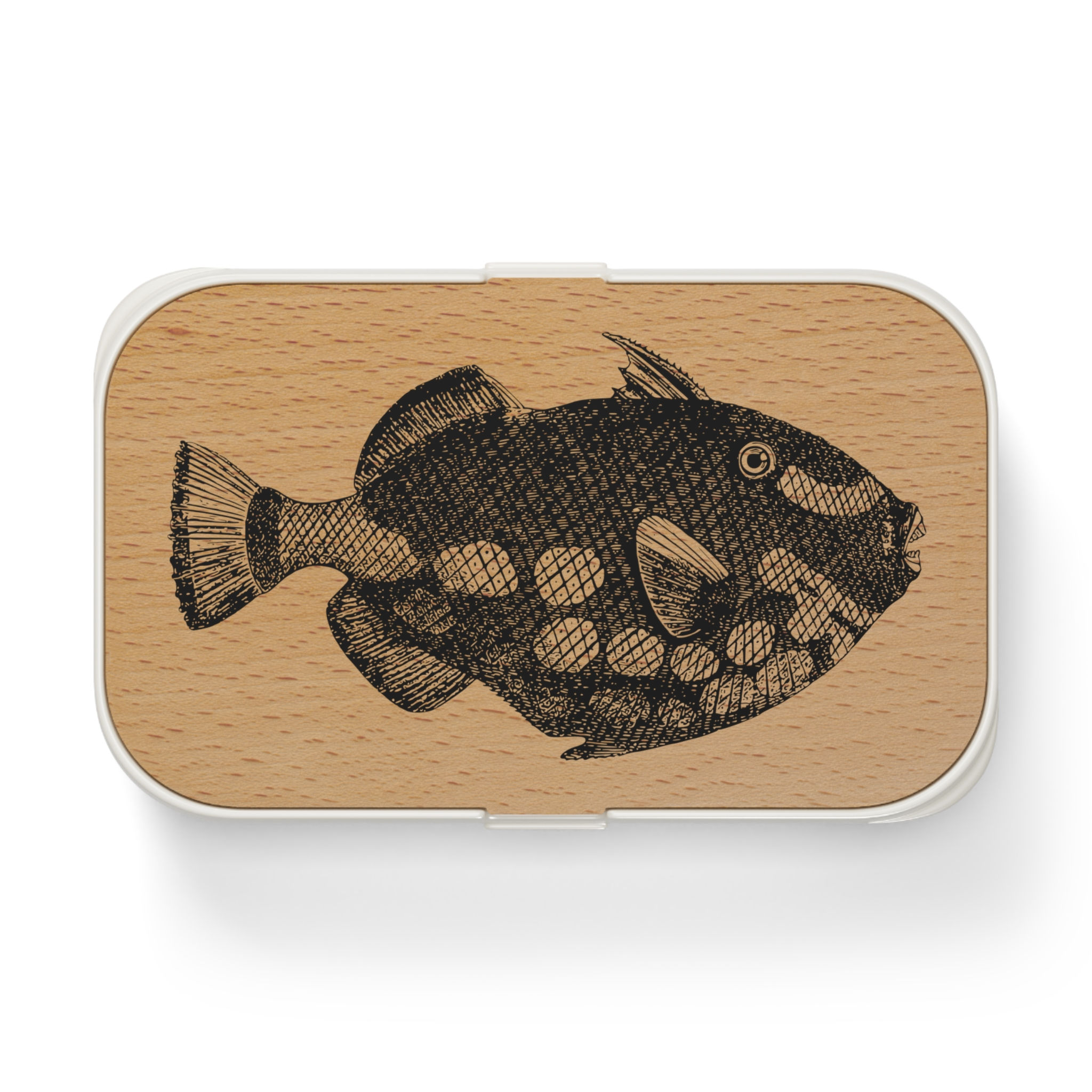 HUNGRY FISH Bento Lunch Box with Vintage Fish Illustration 