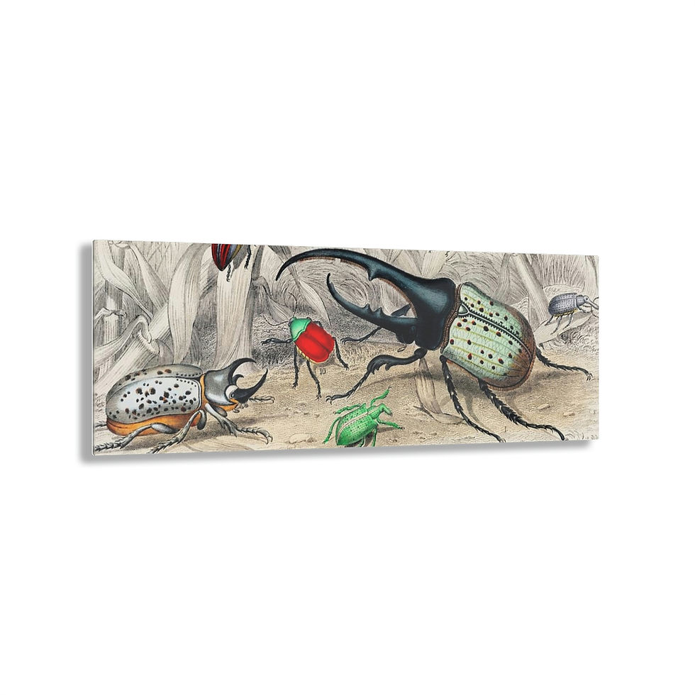 Thumbnail: NATURE Acrylic Prints