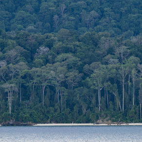 Exploring the Andaman and Nicobar Islands