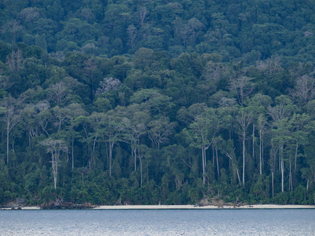 Exploring the Andaman and Nicobar Islands