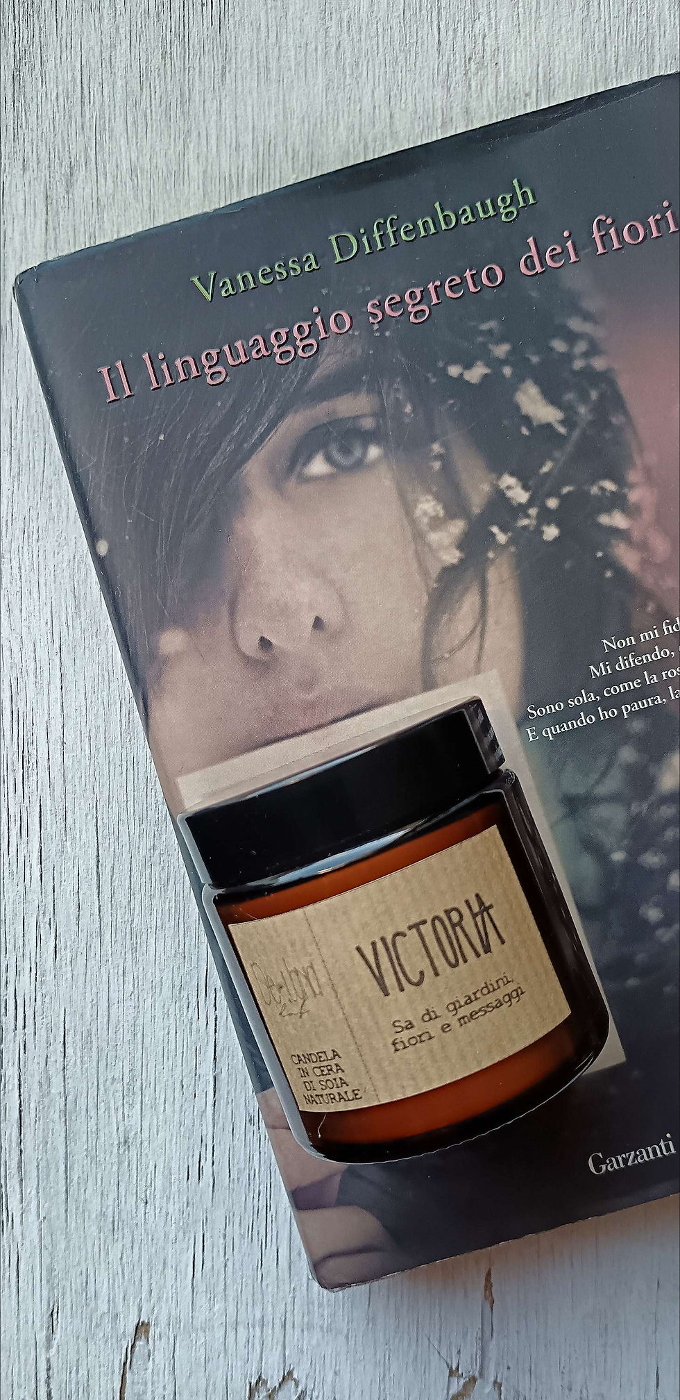Miniatura: VICTORIA+LIBRO