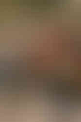 A roadside fruit and vegetable sellers stall on the Amalfi coast