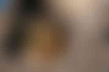 basket full of lemons at a fruit sellers stall on the Amalfi coast