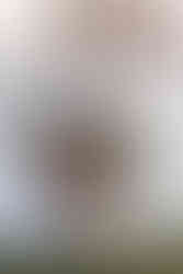 pink and peachy roses with dried flowers and olive greenery in a vase for an Amalfi coast wedding reception