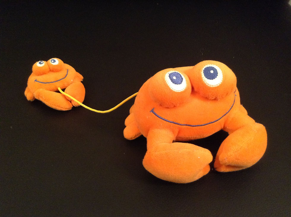 Peluche Caranguejo