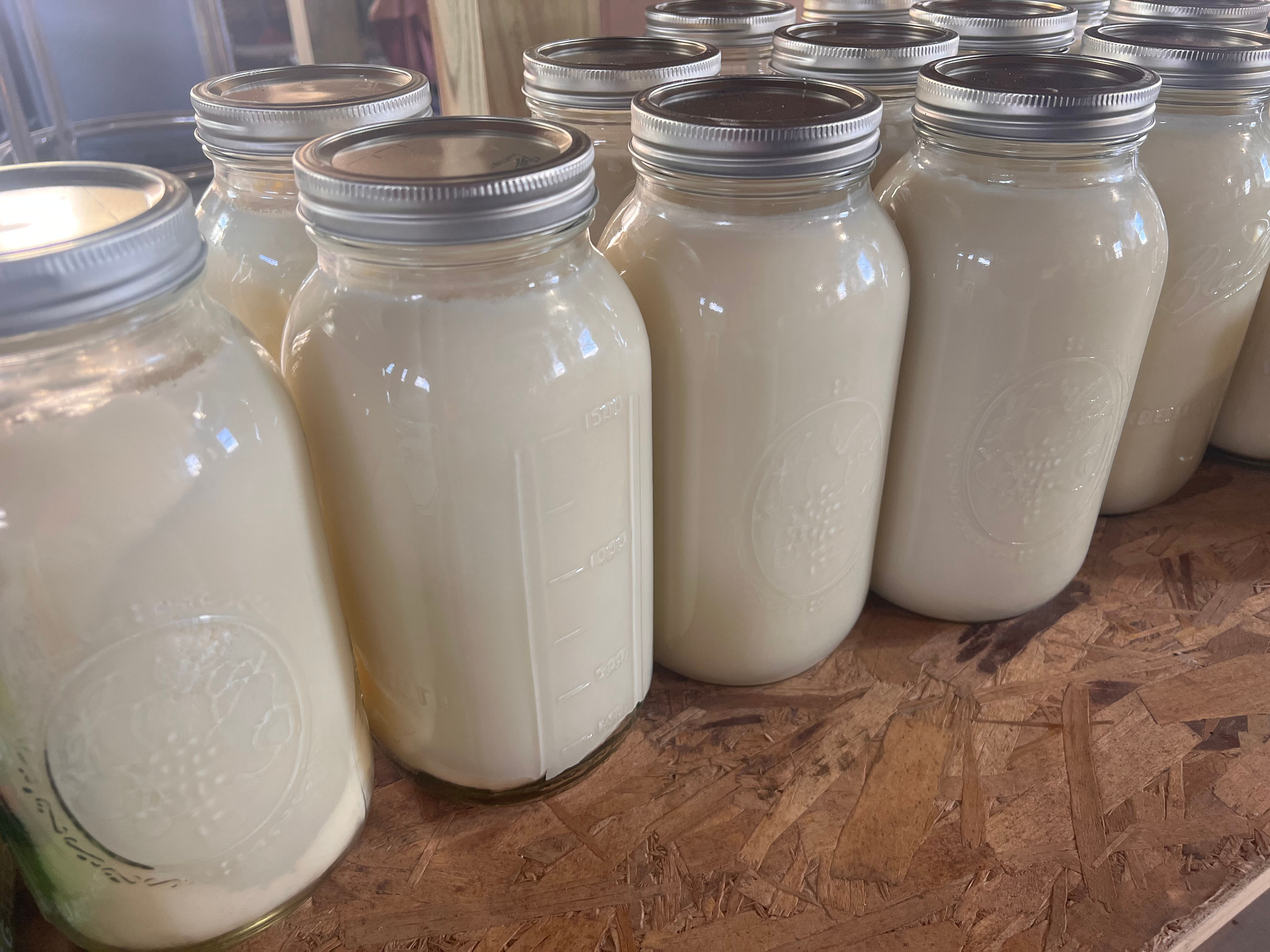 Grass Fed Finished Tallow in Glass Jars