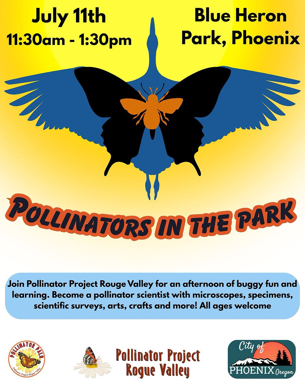 Pollinators in the Park!