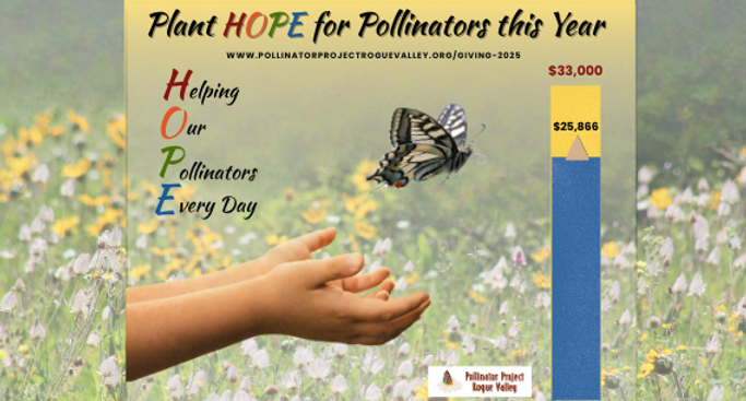 2025 image resized for website banner with url (6).png