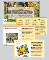 pages from garden guide (1).png