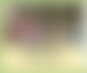 Yay for Pollinator Pals in 2025! 