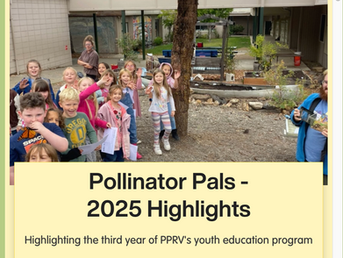 Yay for Pollinator Pals in 2025!