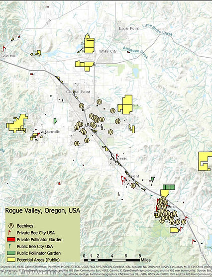 Rogue Valley Layout Feb 8.jpg