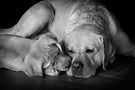 _DSC6096bw2.jpg