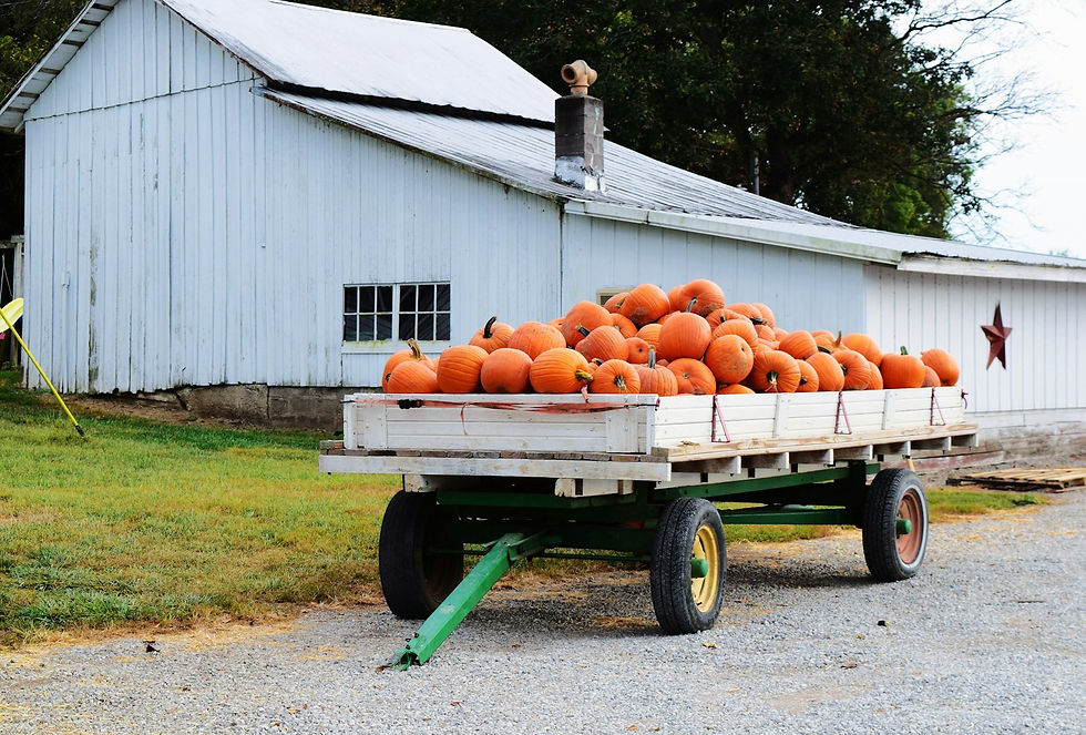 Wagon full of pumpkins in front of a white barn at a farm stand, the kind of agritourism project state grants fund