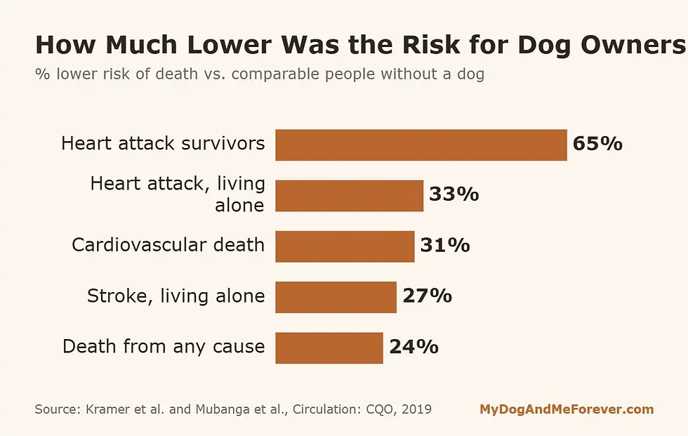 Bar chart of lower death risk for dog owners in large studies of the human-dog bond and heart health
