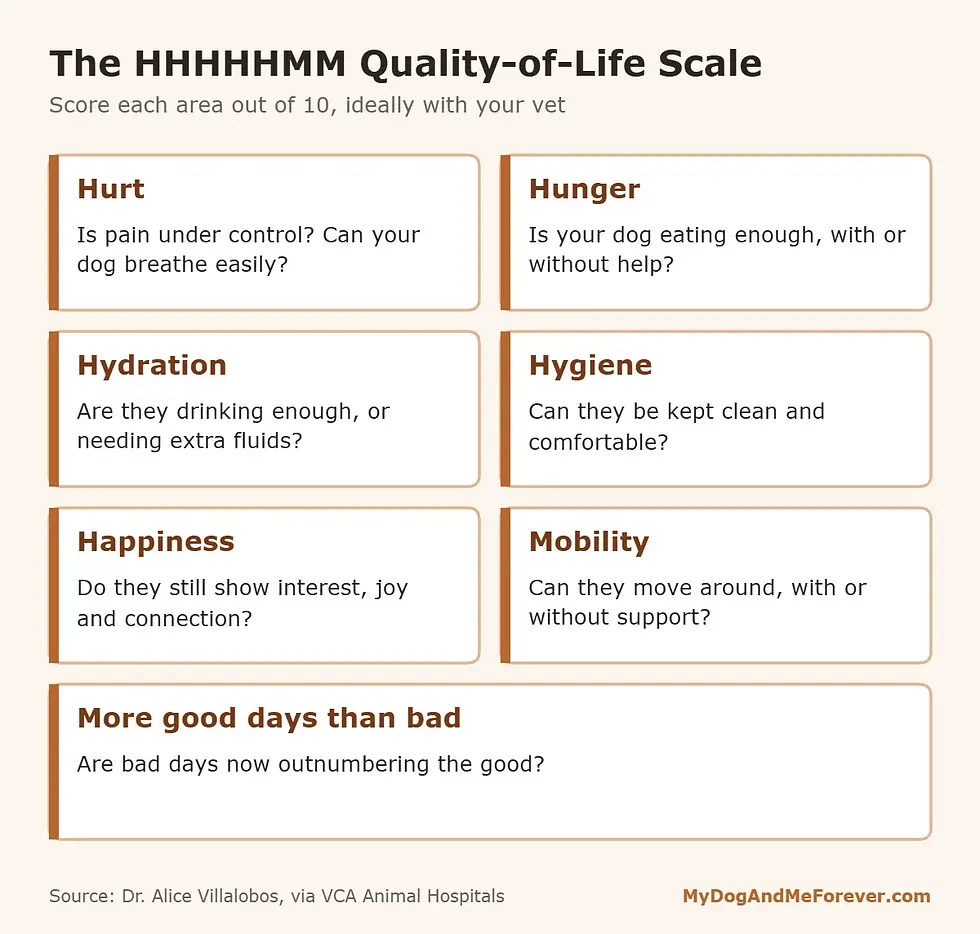 Quality of life scale cards for a dog's end of life: hurt, hunger, hydration, hygiene, happiness, mobility