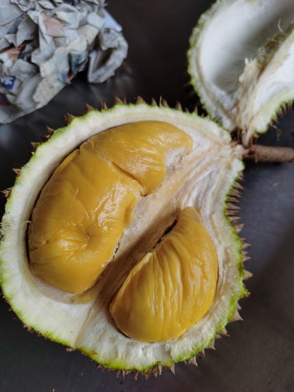 Arranged Food and Objects