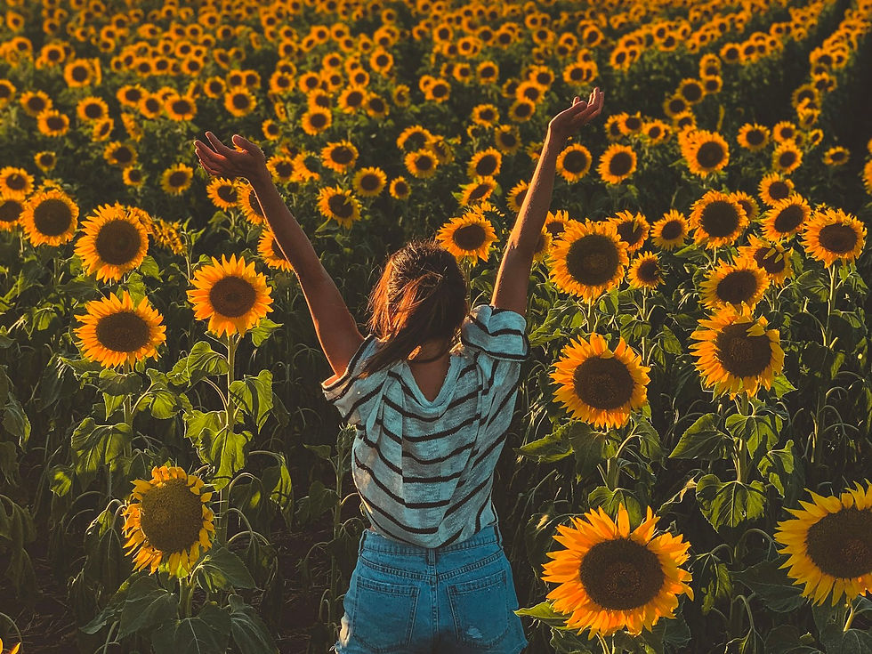Visitor with arms raised in a U-pick sunflower field at golden hour