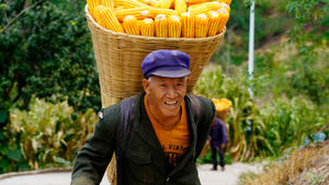 Smiling older farmer carrying a basket of harvested corn on his back, showing why agritourism for older farmers sells experience