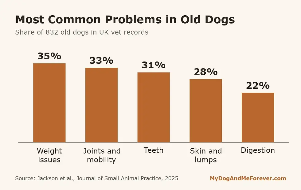 Bar chart of common problems in old dogs: weight issues 35%, joints 33%, teeth 31%, skin 28%, digestion 22%