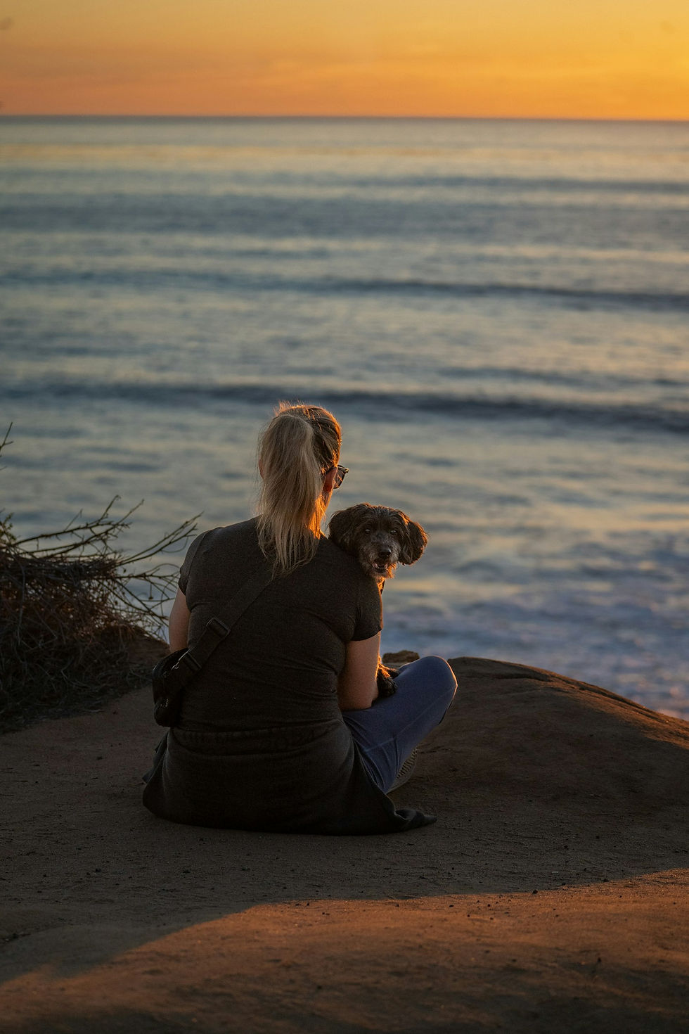 Woman and her dog sitting together watching the sea at sunset, a lifelong human-dog bond