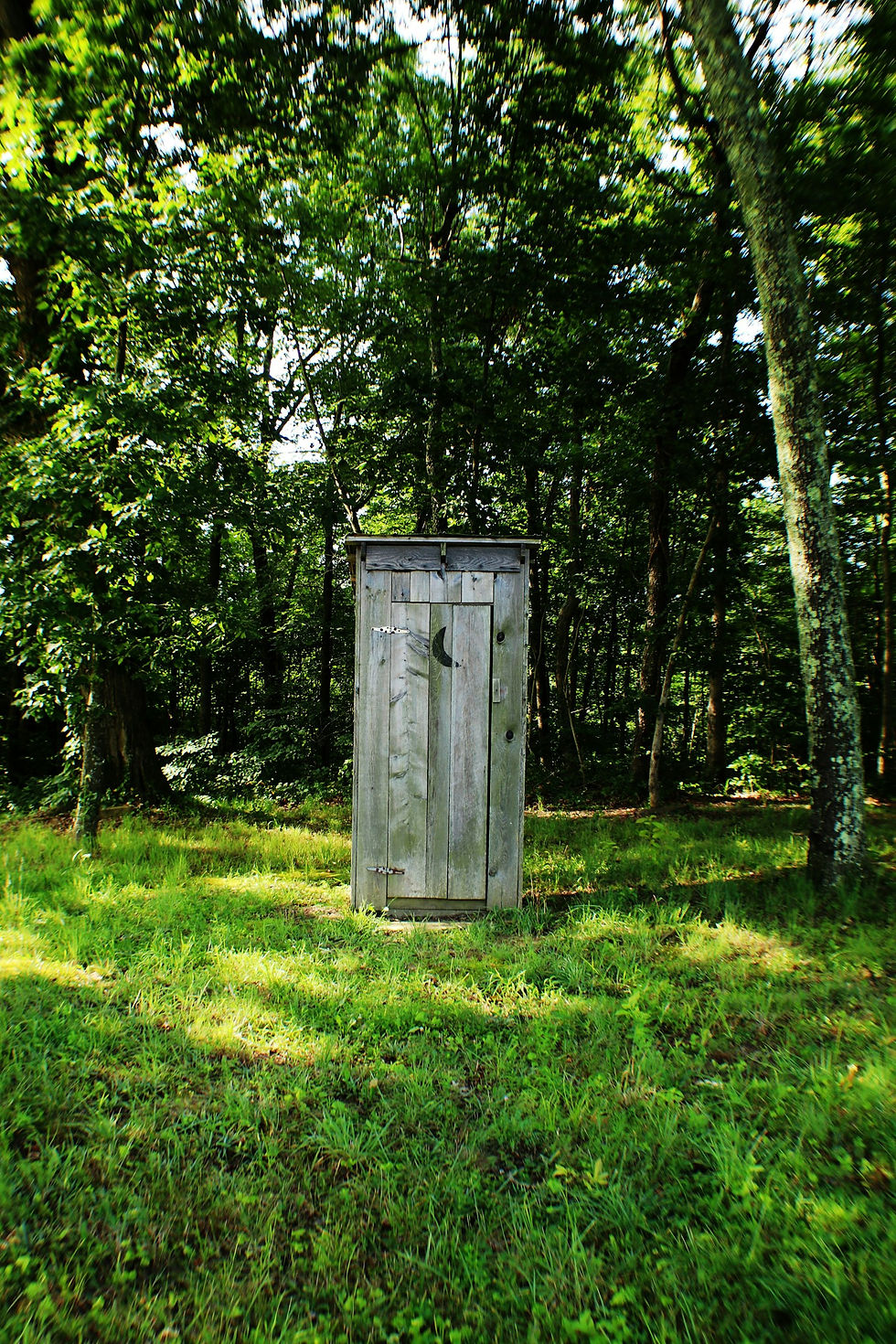 Rustic wooden outhouse toilet among trees at a rural campsite