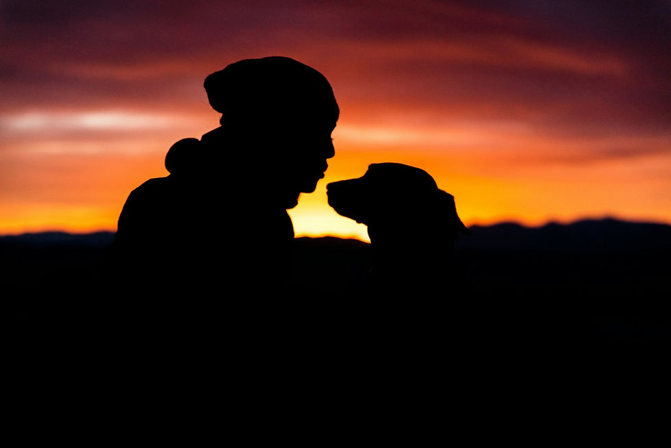 Silhouette of a person and their dog gazing at each other at sunset, the human-dog bond
