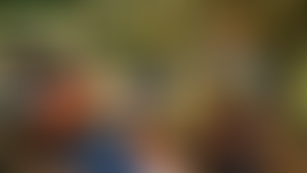 Why Farm Tours Are One of the Best Entry-Level Agritourism Products