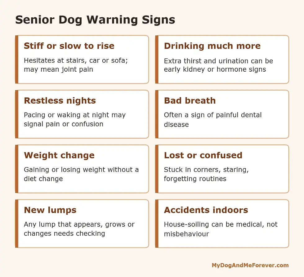 Grid of senior dog warning signs including stiffness, drinking more, night waking, bad breath, weight change and confusion