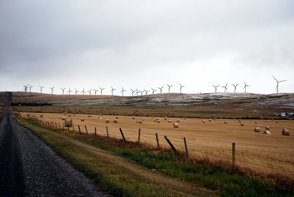 Canada Is Drawing a Farm Trail From Saskatoon to Winnipeg, and the Tourism Money Is Following the Map: Why Farms That Team Up With Their Neighbours Get Paid First (9 Lessons for Farmers Everywhere)