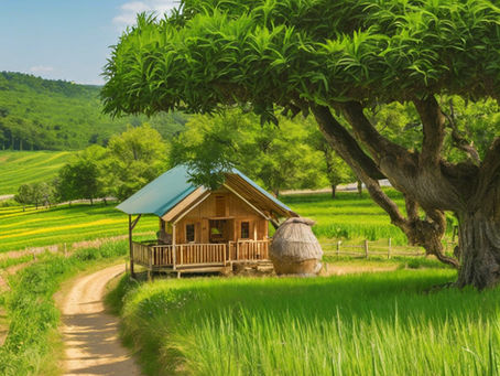 Eco-Friendly Agritourism: How to Run a Sustainable Farm Tour