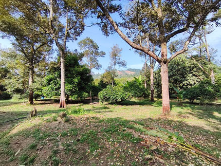 7 Ways To Make Visitors Fall In Love With Your Farm (Agritourism Marketing Made Simple)