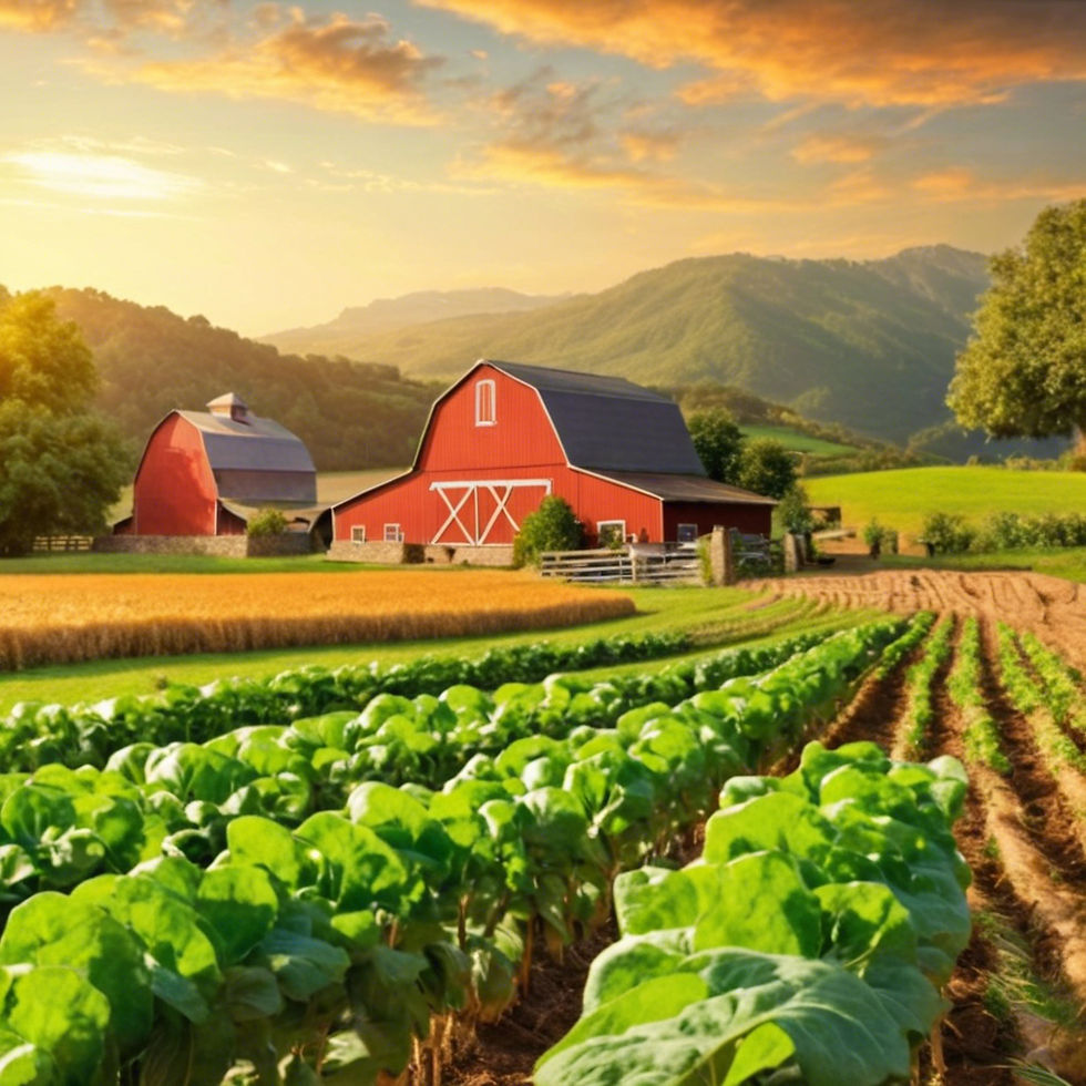 why small farms should have an agritourism business