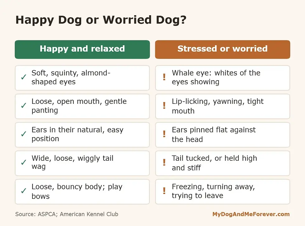 Comparison of happy versus stressed dog body language signs to help owners bond with their dog