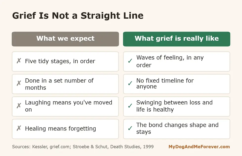 Comparison diagram: common myths about grieving a dog versus how grief really works
