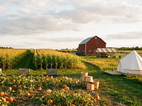 How Much Does It Cost to Start an Agritourism Business? Startup Costs by Activity, From a Corn Maze That Can Pay for Itself in One Fall to a $600,000 Wedding Barn