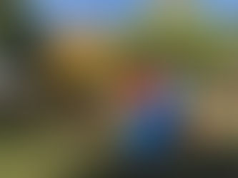 Torretta scoperta per bambini nel Comune di Genoni