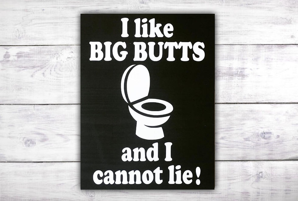 I Like Big Butts and I Cannot Lie Sign Funny Bathroom Signs Toilet Sign Half Bath Sign Boys Bathroom