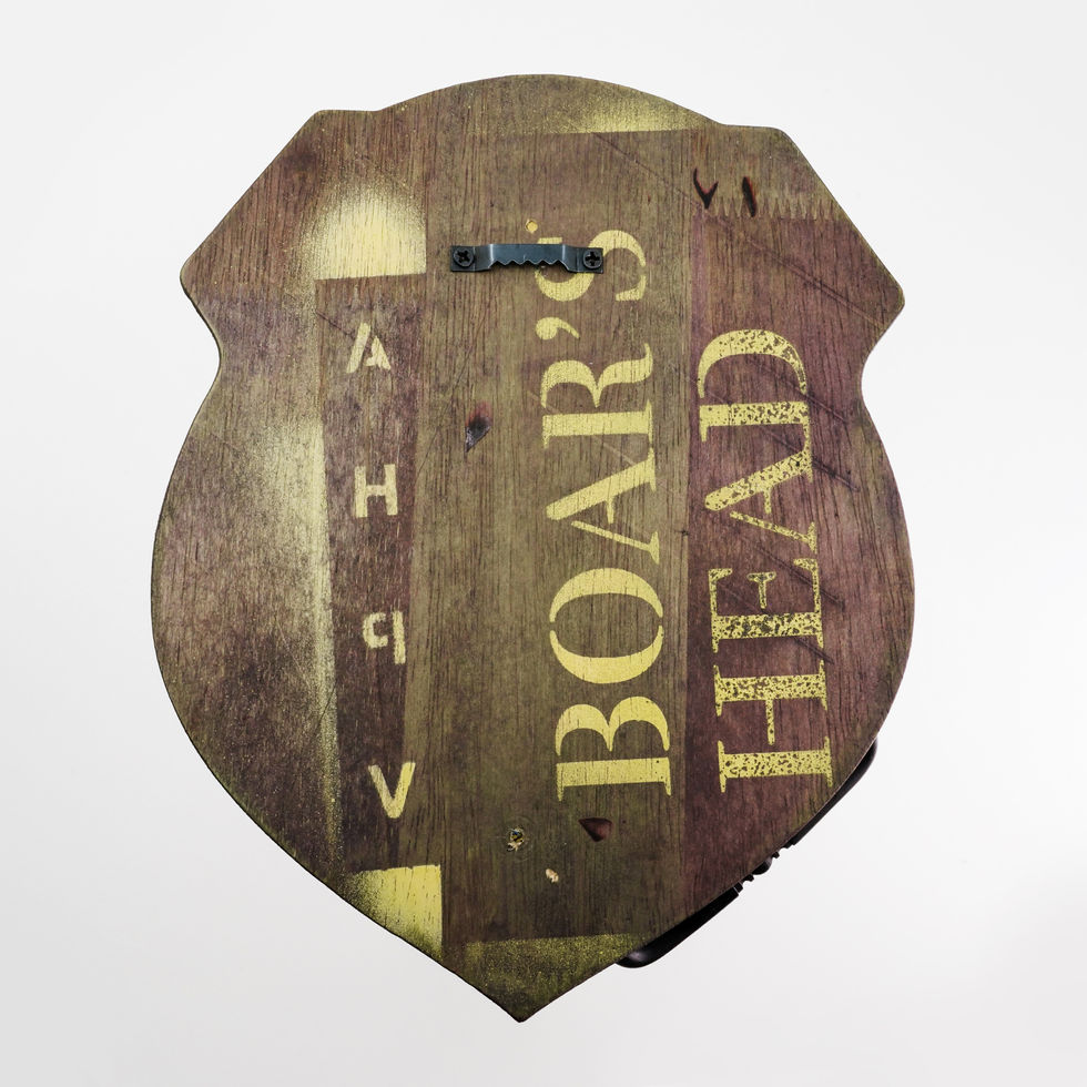 Orange Pig-Back1.jpg