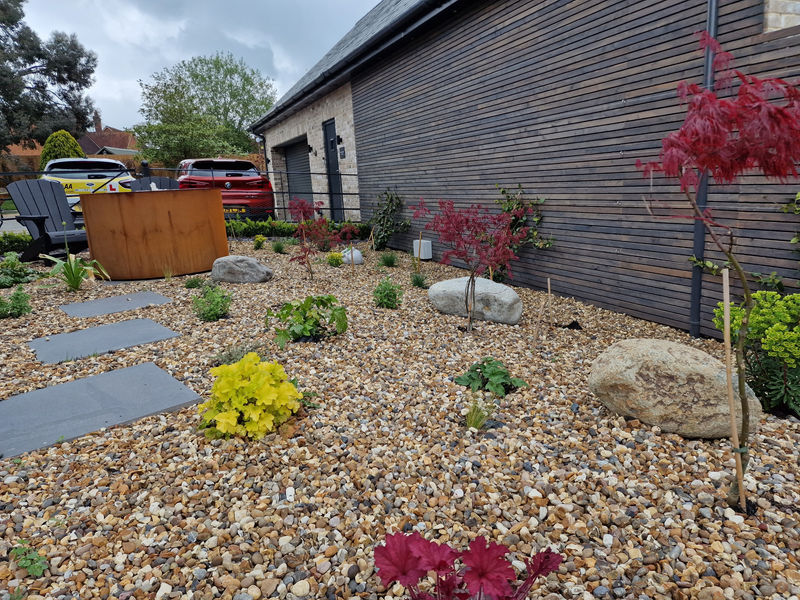 planting, plants, shrubs, lavender, garden design, landscaping, landscape planting