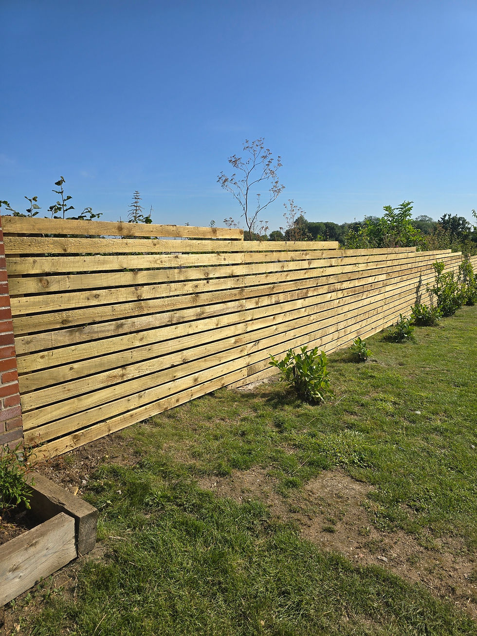 20240729_092612_resized