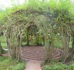 Starting with an idea_ The Eden Project.