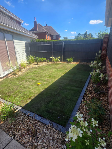 lawn, turfing, planting, gravel garden