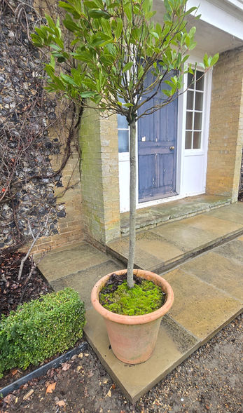 patio, patio builders, york stone paving