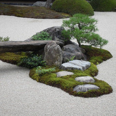 Shaped trees and stone.jpeg
